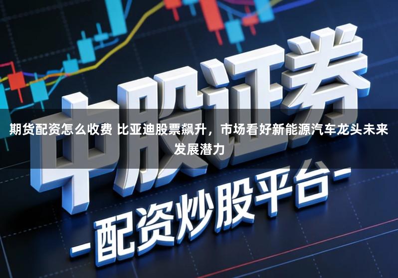 期货配资怎么收费 比亚迪股票飙升，市场看好新能源汽车龙头未来发展潜力