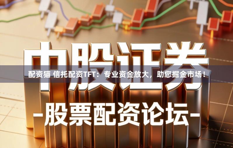 配资猫 信托配资TFT：专业资金放大，助您掘金市场！