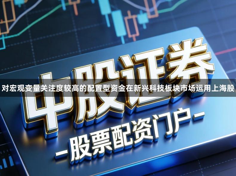 对宏观变量关注度较高的配置型资金在新兴科技板块市场运用上海股