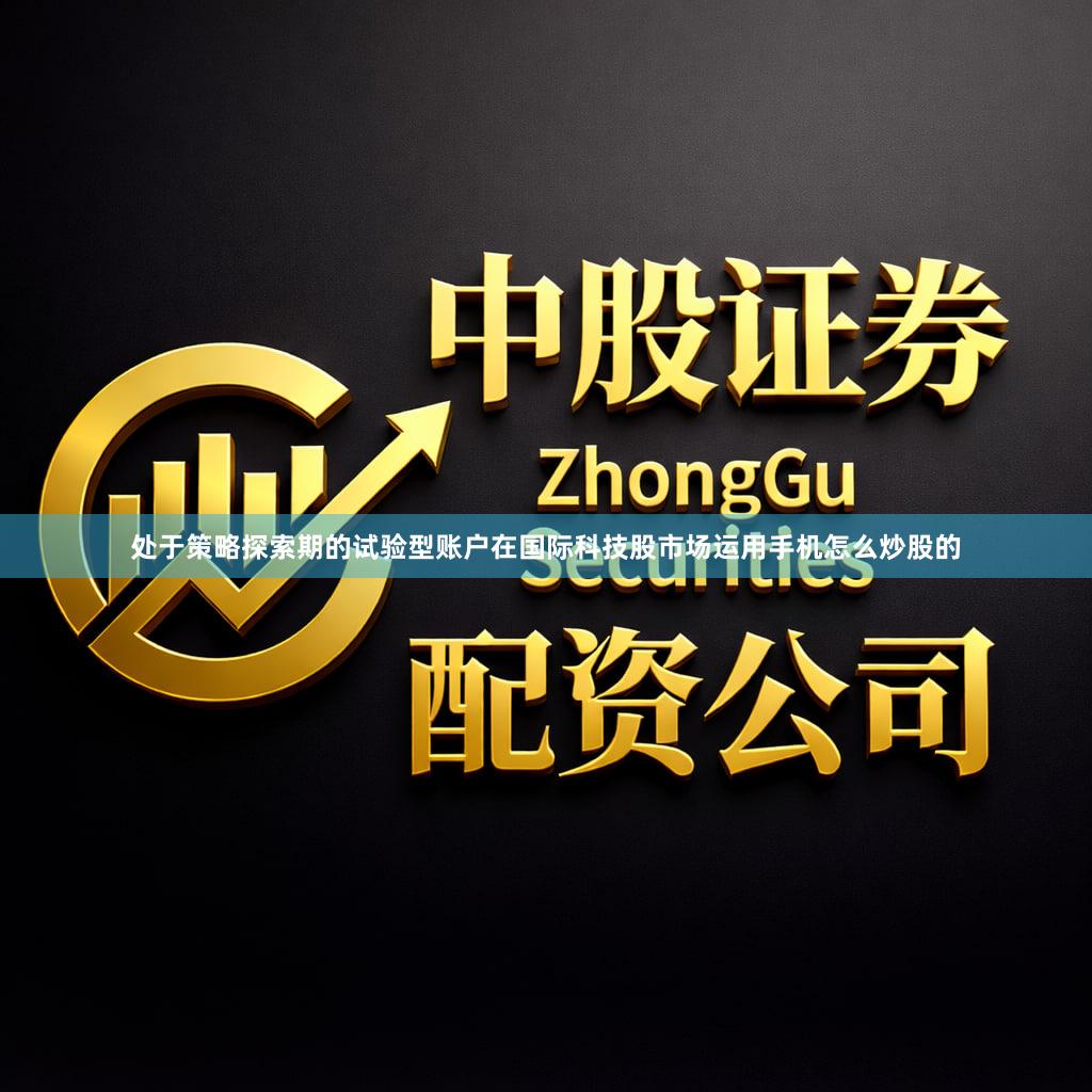 处于策略探索期的试验型账户在国际科技股市场运用手机怎么炒股的