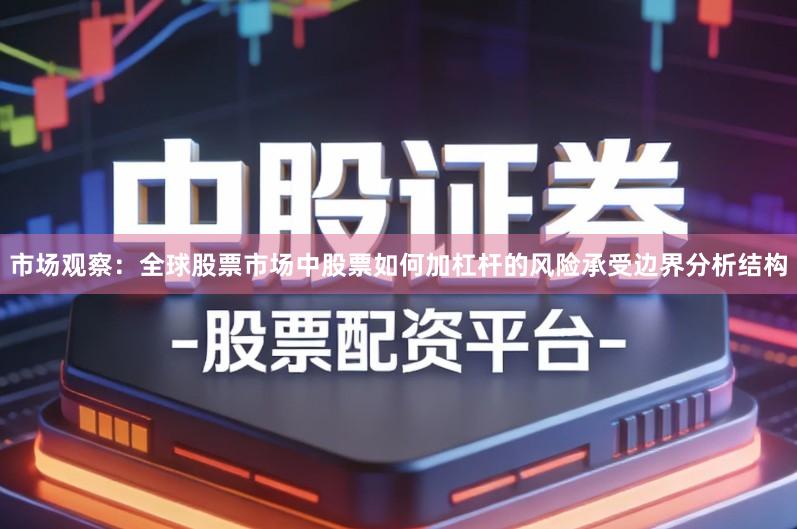 市场观察：全球股票市场中股票如何加杠杆的风险承受边界分析结构